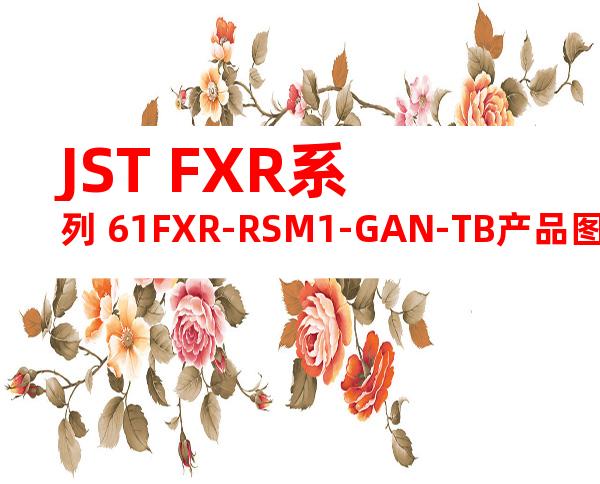 JST FXR系列 61FXR-RSM1-GAN-TB产品图纸